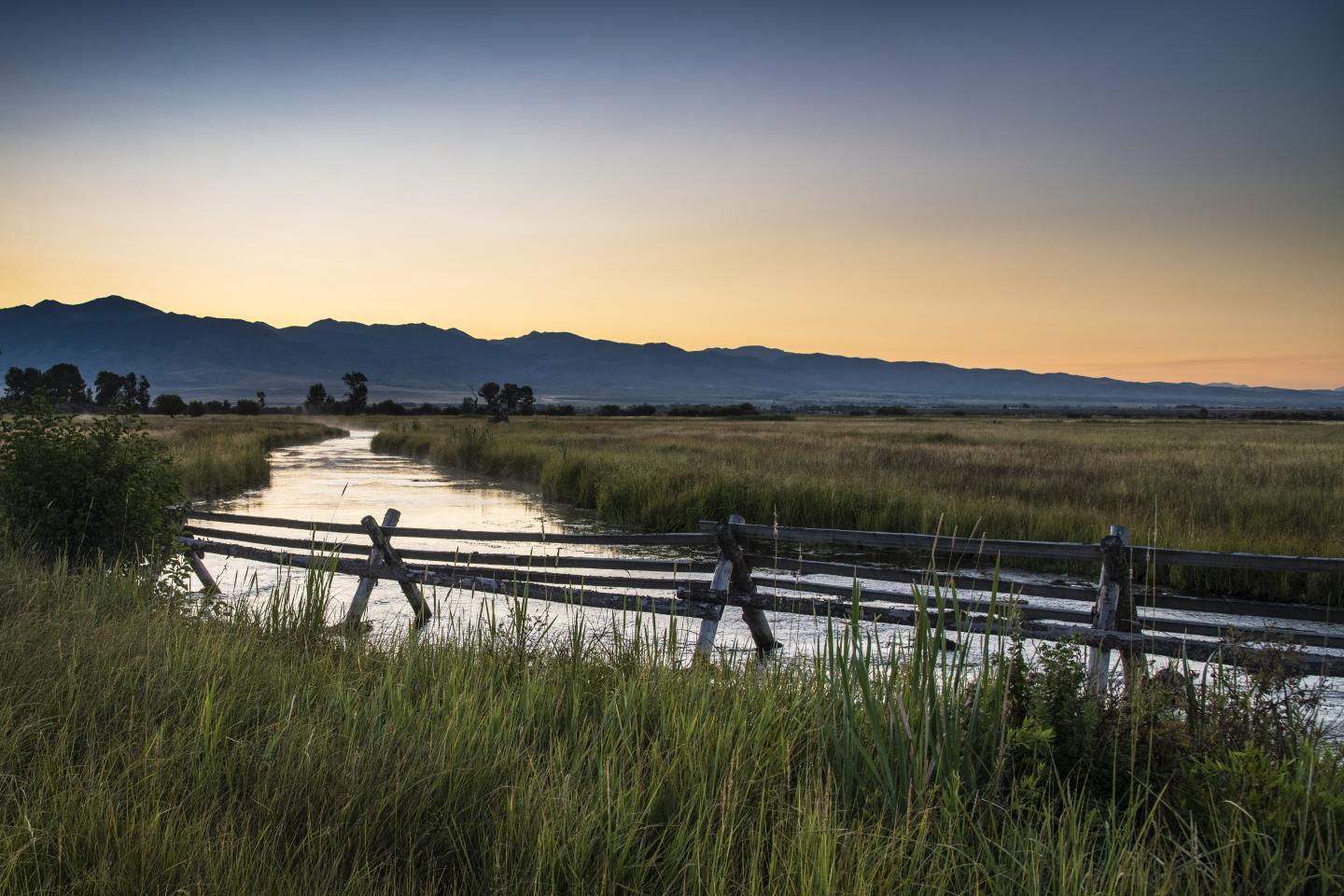 water irrigation landscape