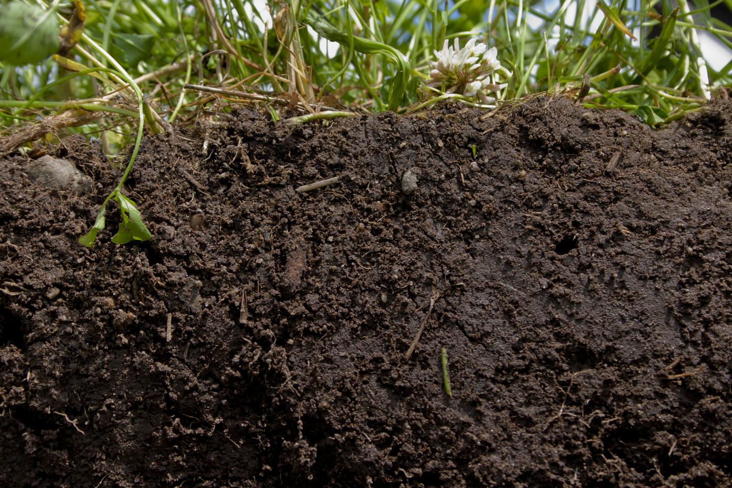 soil health