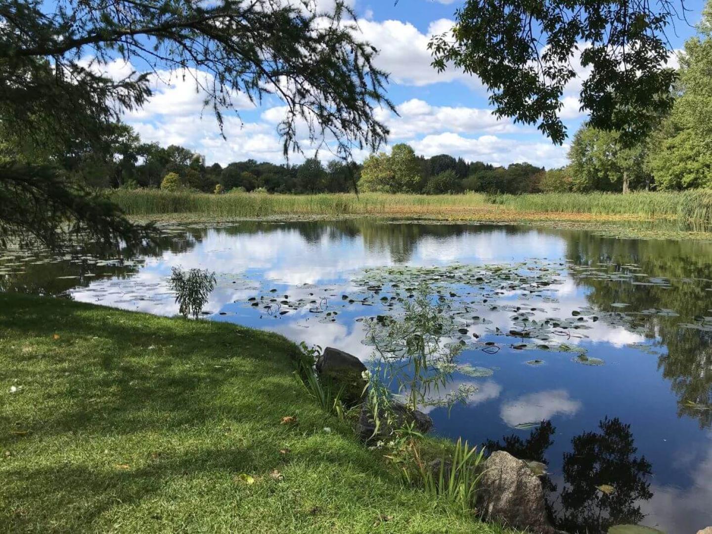 watershed water lake shore