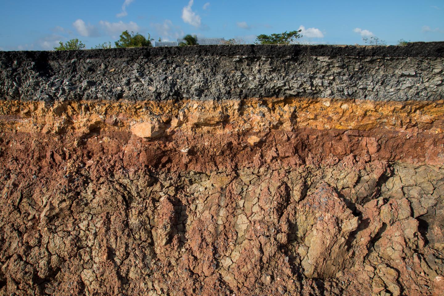 Image showing layers in the soil.