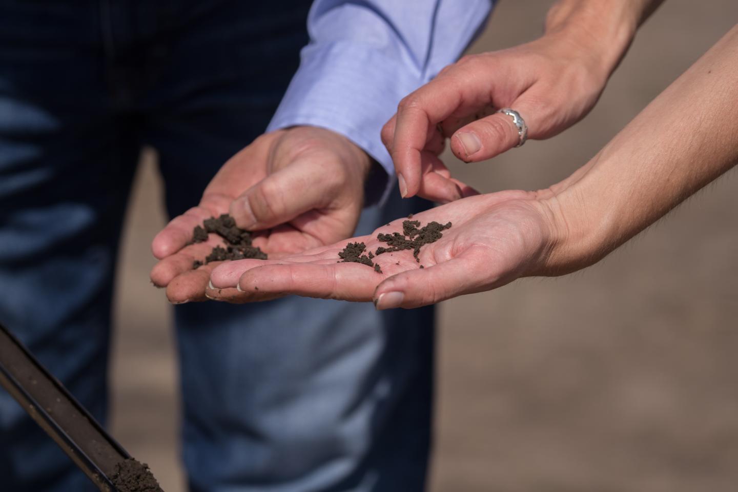 hands examining looking at soil