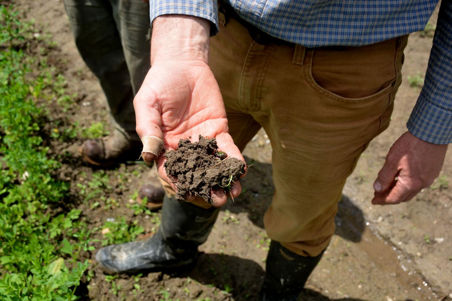 Man holding soil