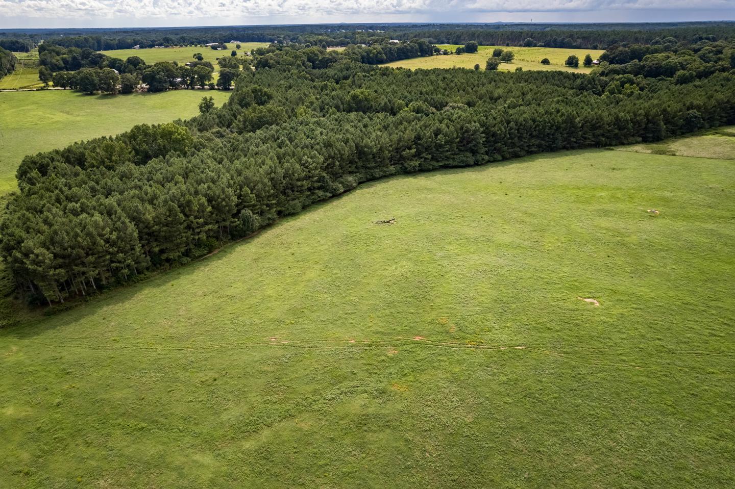 Pastureland and forested riparian buffer