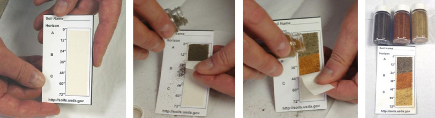 Soil profile card images.