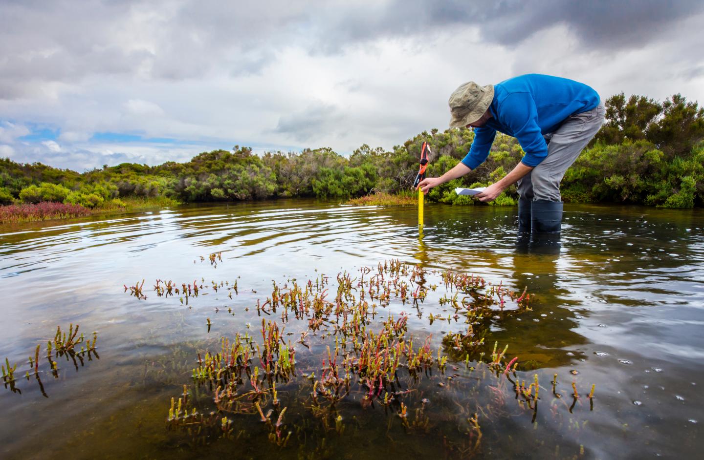 Man in tall rubber boots bending down to measure depth of marsh area