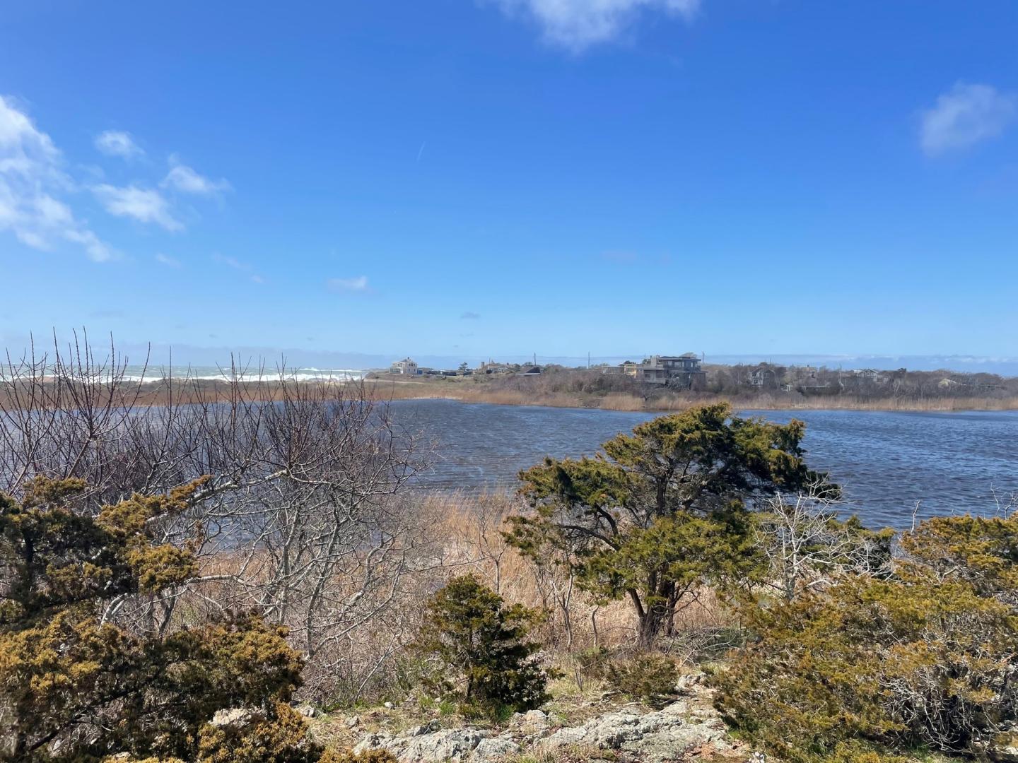 View of Long Pond in the Sakonnet River, RI, watershed.