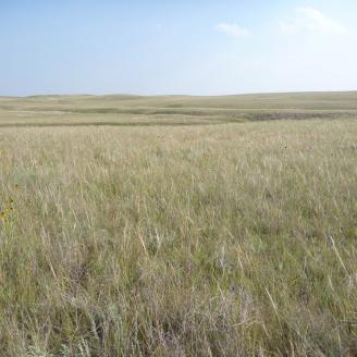 MLRA 53A Landscape