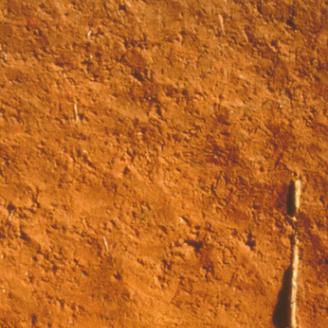 Profile of an Oxisol