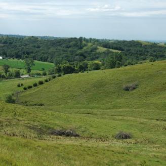 Brush management pasture