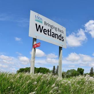Wetland conservation sign in Winnebago County.
