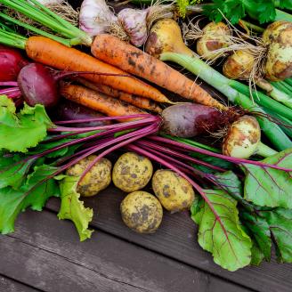 fresh vegetables