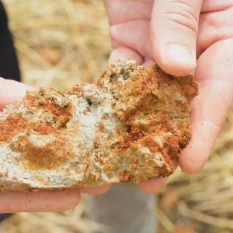 Lazenby soil clods