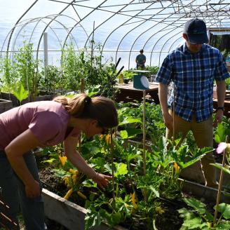 Three people stand next to crops growing inside a high tunnel.