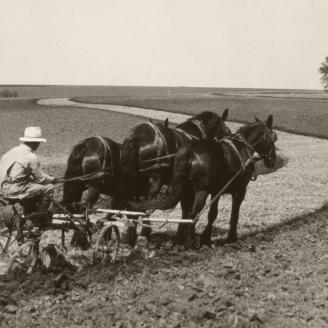 Historical photo - farming in Alaska
