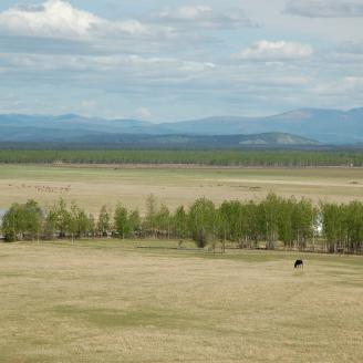 Farm in Alaska