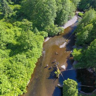 Crew members in a stream doing field work