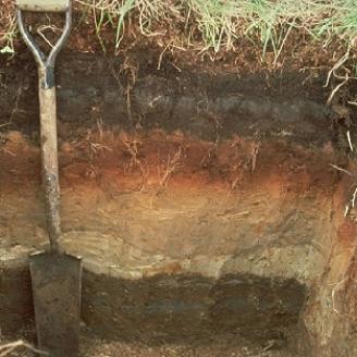 soil profile