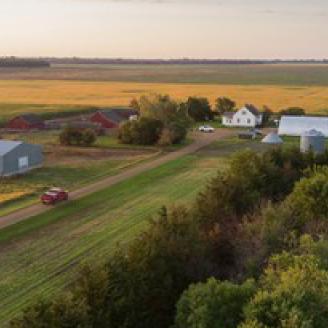 Farm scene