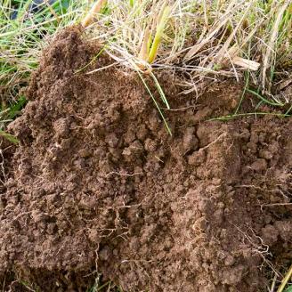 Soil Structure