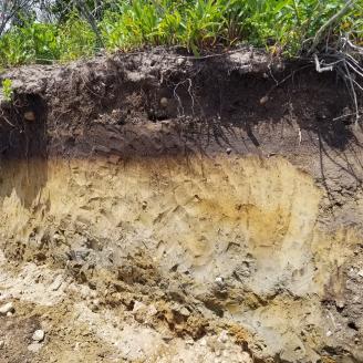 Soil Profile Rhode Island Coast