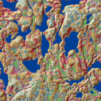 Raster Map of Soils 