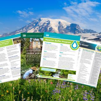 Thumbnail Image for Factsheets page