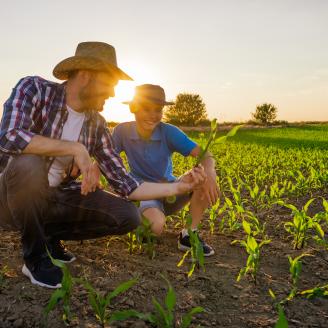 A teenager looks at crops with a man.