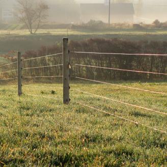 fencing on a farm