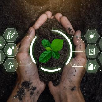 Hands in soil
