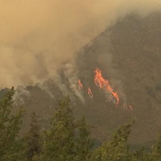 The Soberanes Fire located in the Los Padres National Forest in California began on Jul. 22, 2016 started by an illegal campfire. The Soberanes Fire has consumed 86,294 acres. U.S. Forest Service photo.