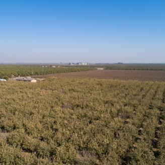 Aerial views of Forever Grateful Ranch where owner Jim Chew grows pistachios, in Chowchilla, CA, about 150 miles east-southeast of San Francisco, on Nov 19, 2018.
Support from the U.S. Department of Agriculture (USDA) Natural Resources Conservation Service (NRCS) included incentive funding toward irrigation water management, soil moisture monitoring, a no-till grass cover crop, nutrient budgeting, and compost applications.
Mr. Chew grew up 20 miles north in Stevenson, CA where his father raised beef-cows.