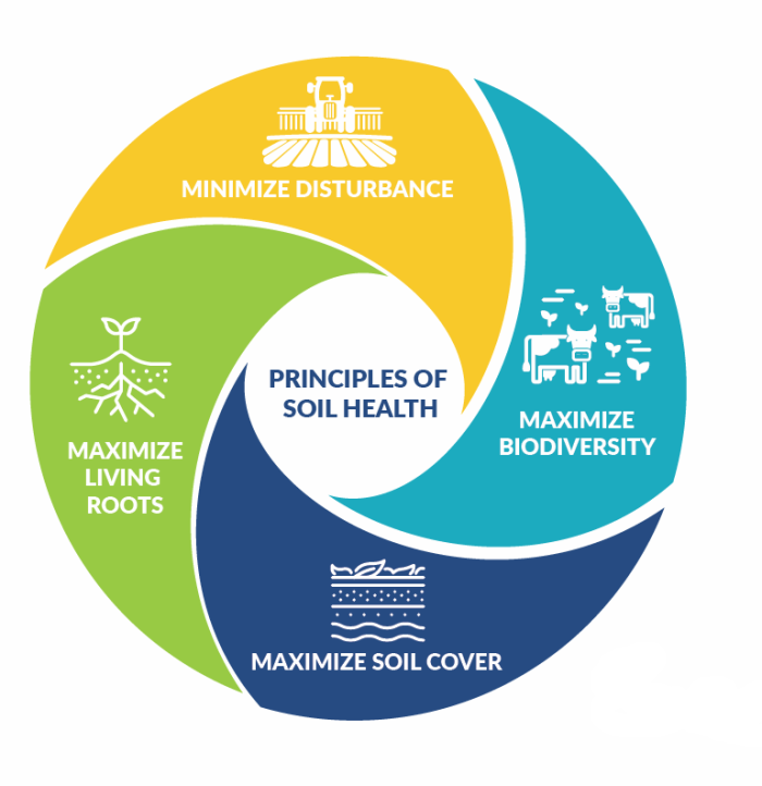 Principles of Soil Health
