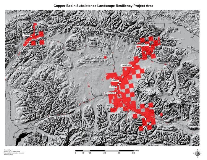 Copper Basin Ahtna RCPP project map