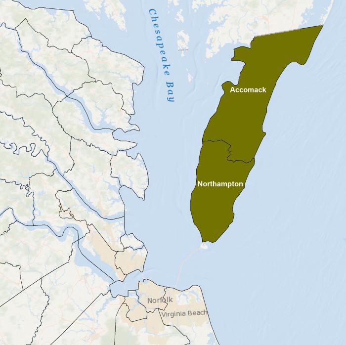 Virginia American Black Duck Focus Area