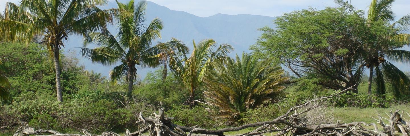 soil salinity