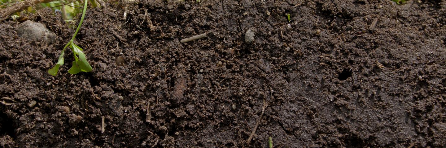 soil health