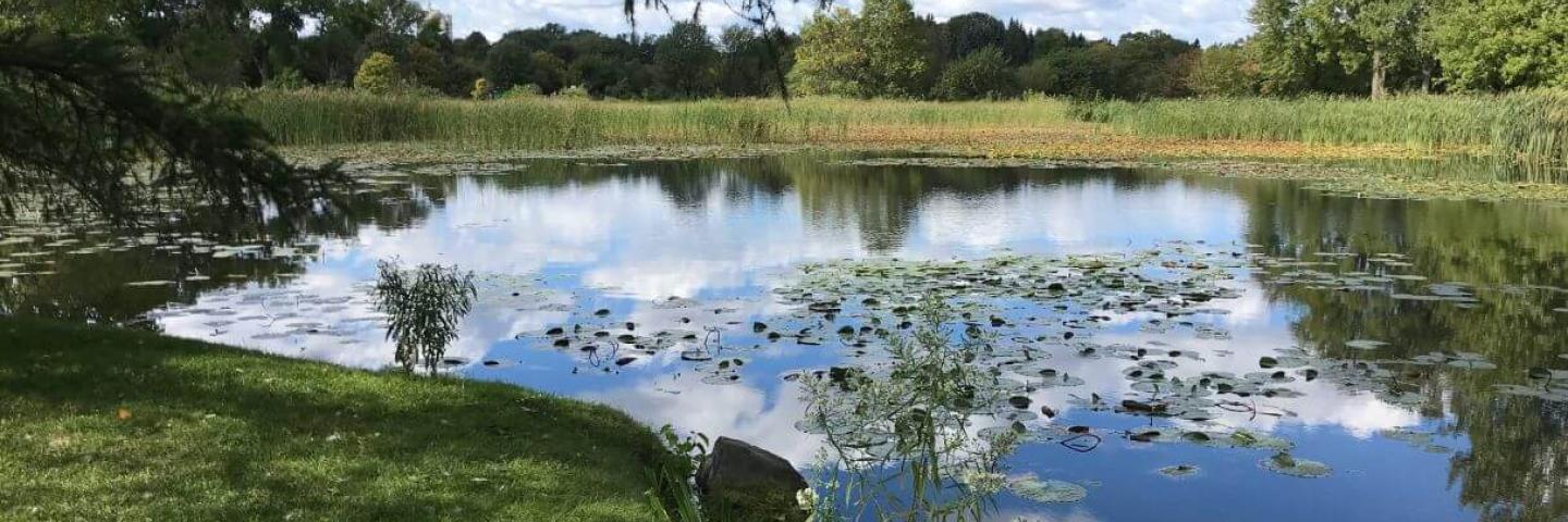 watershed water lake shore