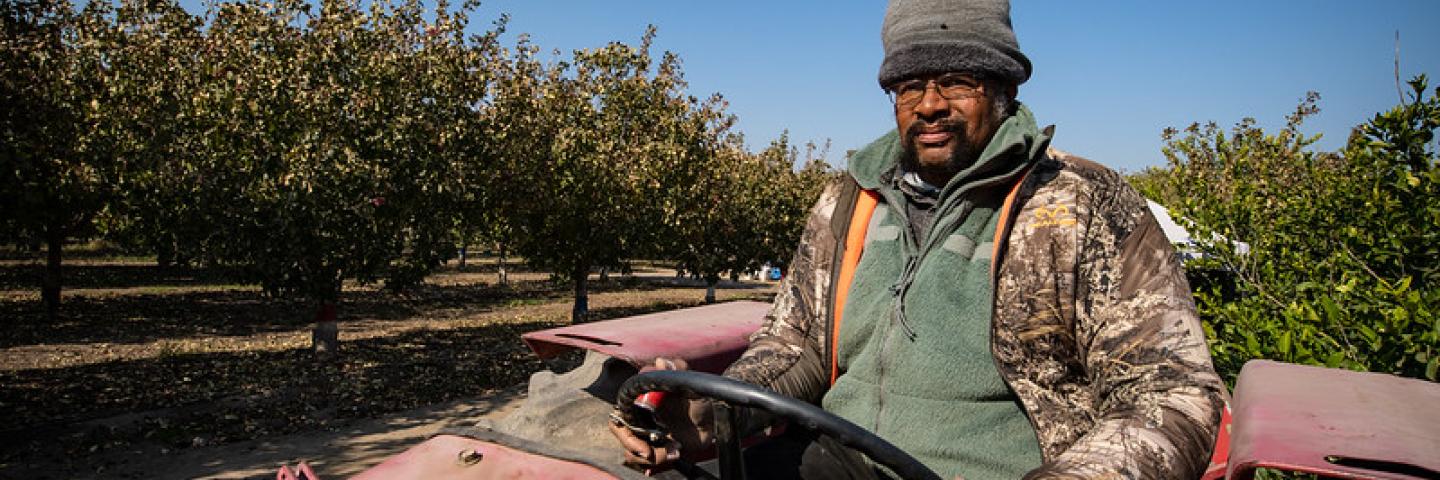 Farmer tending to pistachio grove in California.