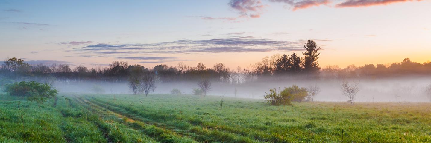 A morning fog hangs over a New Hampshire field.
