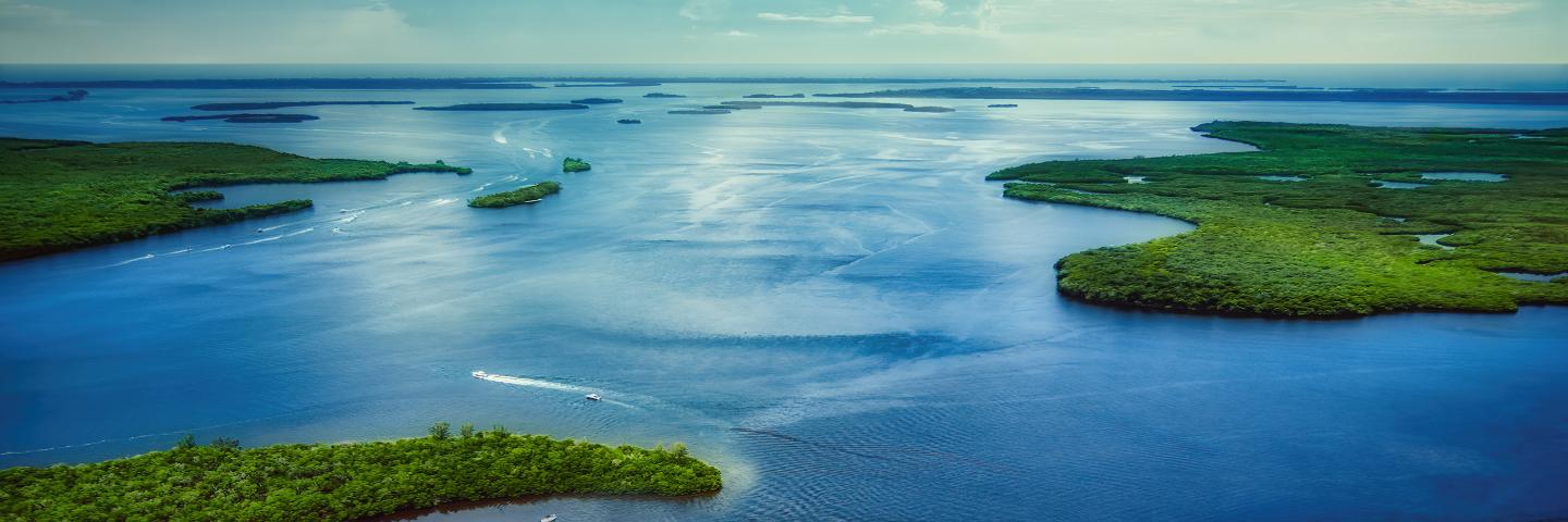 Caloosahatchee River Tributary