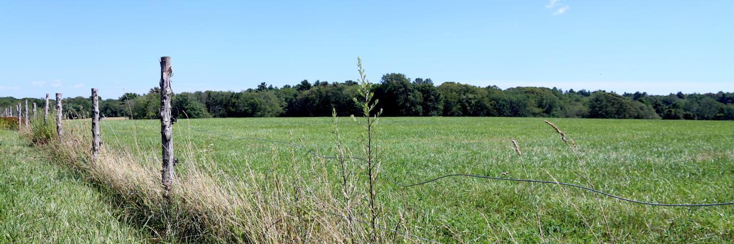 A field with a fence