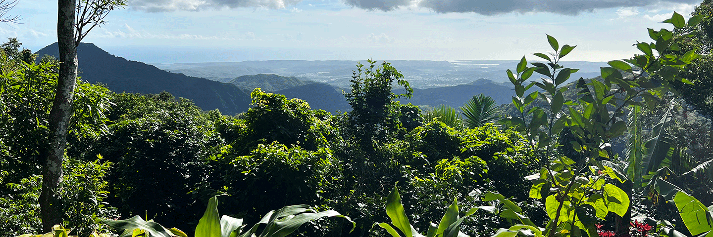 Puerto Rico coffee hacienda