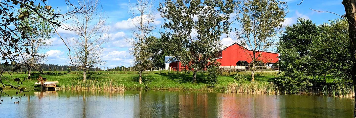 Scenic Farm Pond