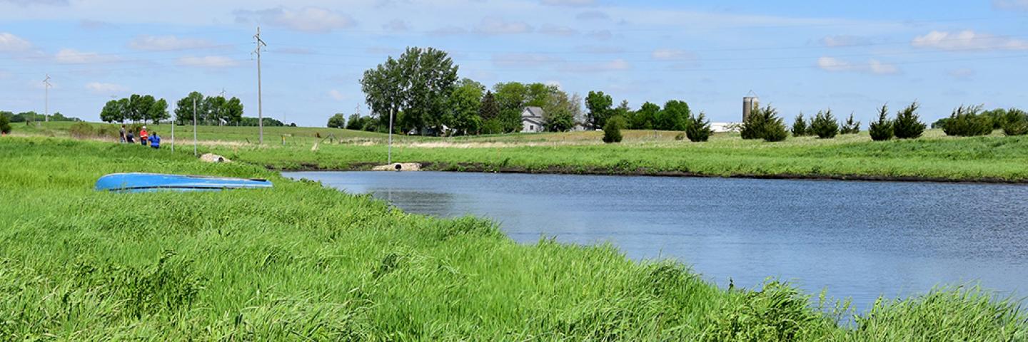 Pond surrounded by lush green grass in rural Iowa