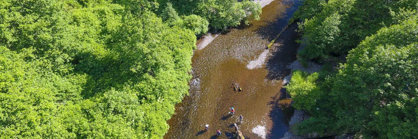 stream survey in Southeast Alaska
