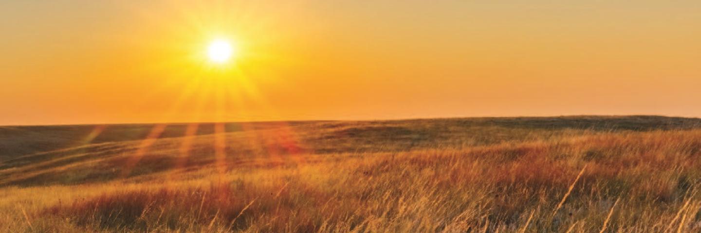 Image of grasslands with a setting or rising sun on the horizon.