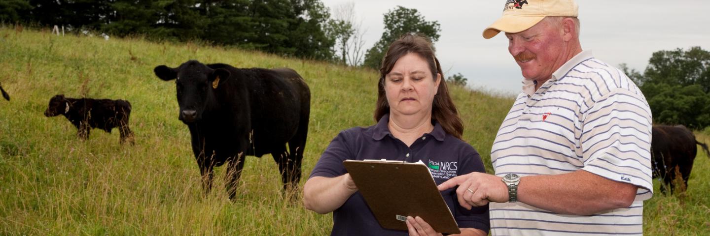 People standing in pasture looking at a map