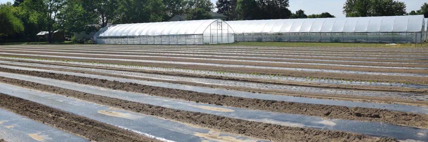 Field and high tunnels in Genesee County