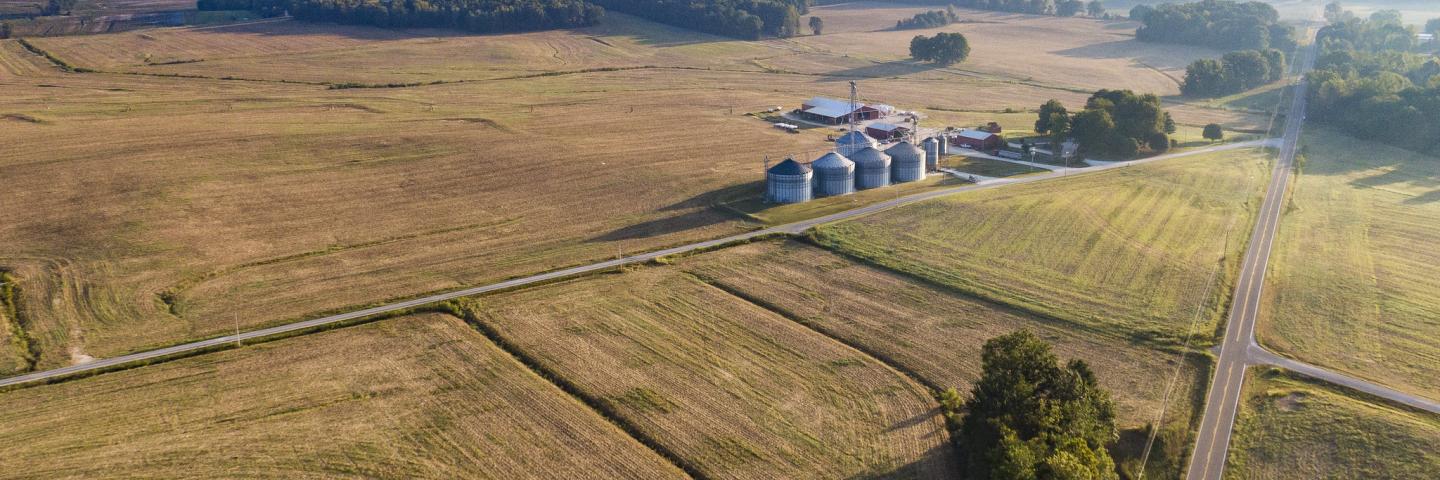 aerial image of row crops