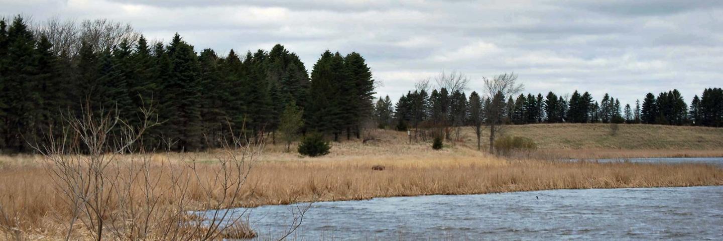 Minnesota Farmer, Carl “Russ” Pilegarrd, has participated in the U.S. Department of Agriculture's (USDA) Farm Service Agency (FSA) Conservation Reserve Program (CRP) from the beginning. He uses wetland buffers and shelter belts to prevent erosion, improve soil and water quality and promote wildlife habitat. USDA photo. 
 
 